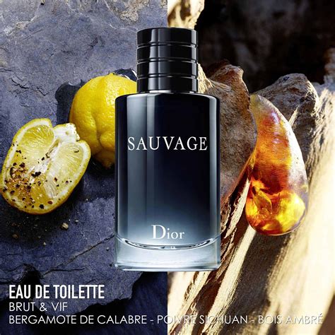 dior sauvage homme edt|dior sauvage cheapest.